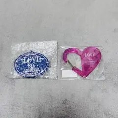 Item thumbnail for item 6c95b637-50c1-472f-b121-1f65dd661a66