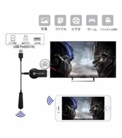 エニーキャスト Anycast