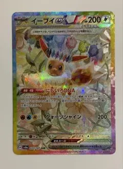 イーブイex SAR SV8a テラスタルフェスex 223 / 187