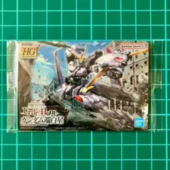ガンダム端白星　GUNDAMガンプラパッケージアートグミ３　カード