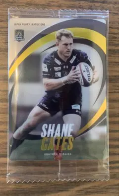 シェーン・ゲイツ 浦安D-Rocks ジャパンラグビー　トレーディングカード
