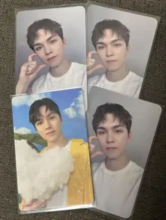 バーノン　トレカ　まとめ売り