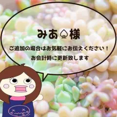ゆうパケットプラス◎みあ♤様