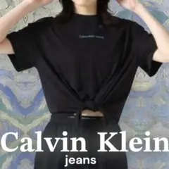 【美品】カルバンクラインジーンズ クロップドTシャツ 半袖 黒 Mサイズ