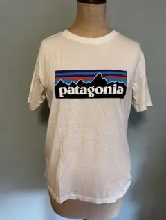 Patagonia Tシャツ