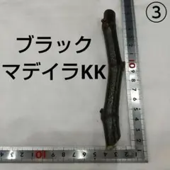 2026年最新】イチジク ブラックマデイラの人気アイテム - メルカリ