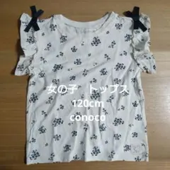 Item thumbnail for item fb3f5819-2c0b-490a-8757-03e37d5f2258