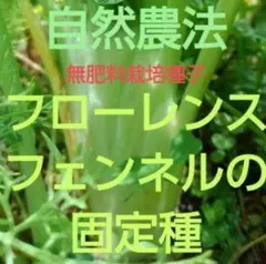 ぶーこ。〚Boocostamp…˖⁺〛様 リクエスト 3点 まとめ商品