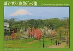 Item thumbnail for item 2cba1eb6-0c91-4ed1-b567-5d7cd1a97622