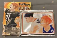 ハイキュー‼︎ ステータスカードコレクション　日向翔陽　影山飛雄