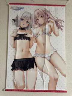 C97 遠坂あさぎ B2タペストリー AliceSyndrome* - メルカリ