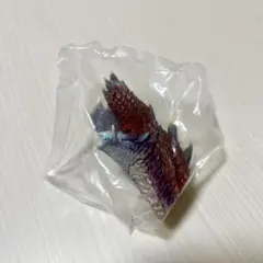 モンスターハンター　一番くじ　ヘッドマグネット　アルバトリオン