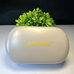 ケースのみBOSE QuietComfort Earbuds