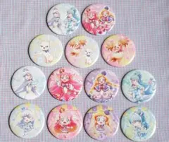 【匿名発送】プリキュアライブ 缶バッジ 全13種 フルコンプセット わんぷり