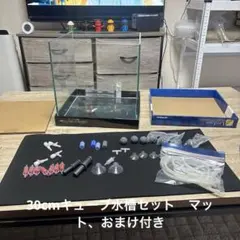 30cmキューブ水槽セット　マット、おまけ付きのサムネイル