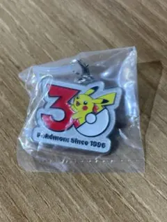 ポケモン30周年メタルチャームマスコット ピカチュウ めじるしアクセサリー