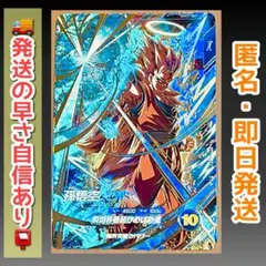 sdvtp-004 孫悟空　大会　パラレル　ドラゴンボールスーパーダイバーズ