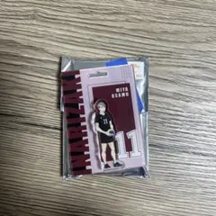 ハイキュー!! Blistaz アクリルキーホルダー　宮治