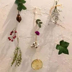 ドライフラワー　ガーランド　3連　ライム　オリーブ　ミモザ　ナンキンハゼ