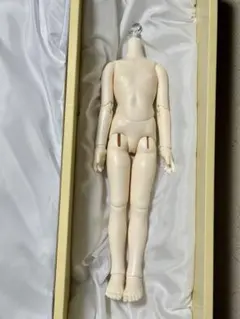 ボークス SDM 2025年コーディネートモデル 女の子ボディ PSホワイト