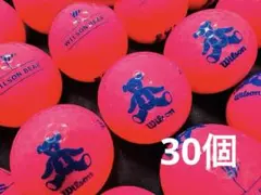 ウィルソンベア Wilson Bear 30個　　マットピンクのサムネイル