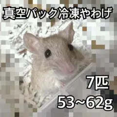 tanakaさま専用ページ✨冷凍やわげネズミ☆真空パック 2026年最新】ヤワゲネズミの人気アイテム - メルカリ