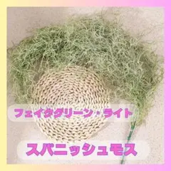 スパニッシュモス　 フェイクグリーン　人工観葉　インテリアグリーン 1024のサムネイル