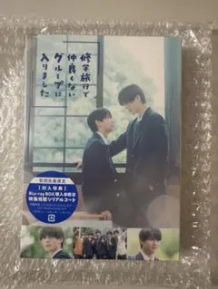 新品未開封】 修学旅行で仲良くないグループに入りました 初回生産限定 