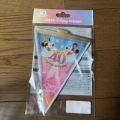 東京ディズニーリゾート 40周年 ガーランド　ミッキー　ミニーのサムネイル