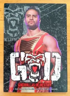 新日本プロレス　GOD　タマ・トンガ　トレカ