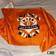 Item thumbnail for item 35f98392-a4b3-4ead-8592-df93411762f9