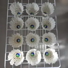 Item thumbnail for item 6b7b51a2-0243-4354-b298-5b46c29dd8b5