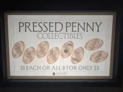 アウラニ　ディズニー　ハワイ　スーベニアメダル　8枚