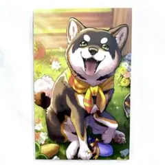 ノスタルジアコレクション2025 ランダムコレクションカード Dグループ