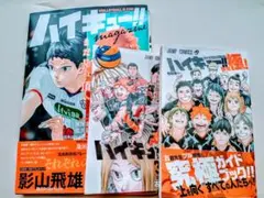 ハイキュー!! 3冊セット　ステッカー、オリジナルしおり付