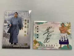 2026年最新】豊昇龍 サインの人気アイテム - メルカリ