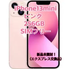 2025年最新】iphone mini エクスプレス交換の人気アイテム