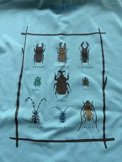 mont-bell 昆虫プリント Tシャツ ミントグリーン
