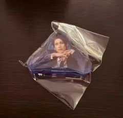 エーステ アクリルクリップ ガイ