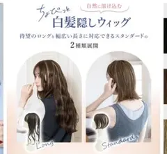 Item thumbnail for item cc40568e-40aa-4182-9c29-09436fc534bd