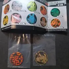 ポケモンコインコレクション第6弾 グレンアルマ ピカチュウ