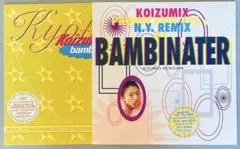 Koizumix Production Vol. 1 、2 レコード