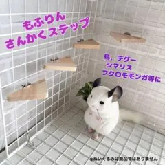 Item thumbnail for item 893e353c-2447-4324-bb17-b27801ed910d