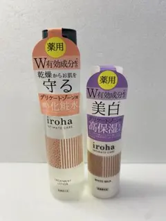 Item thumbnail for item 97f20c80-d838-4a51-939a-3e01cbc3ce65