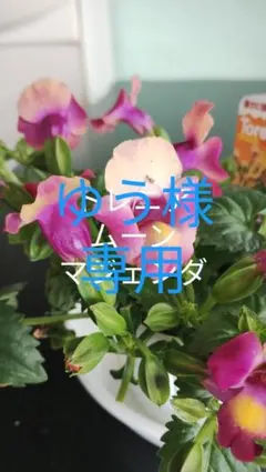 ゆぅ様 リクエスト 3点 まとめ商品