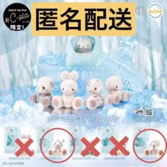 C-pla限定　ベビーくまカステラ　フローズン　2種セット