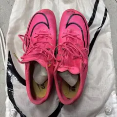 マックスフライ1