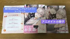 カリスマ社長はムラつきたい　GO毛力　アニメイト　小冊子　フェア　リーフレット付