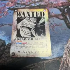 ワンピースカード　ティーチ　手配書　SP