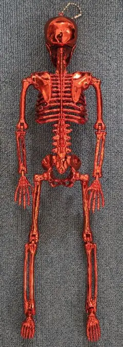 ガイコツ 骨 可動式 フィギュア